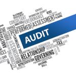 site audit icon